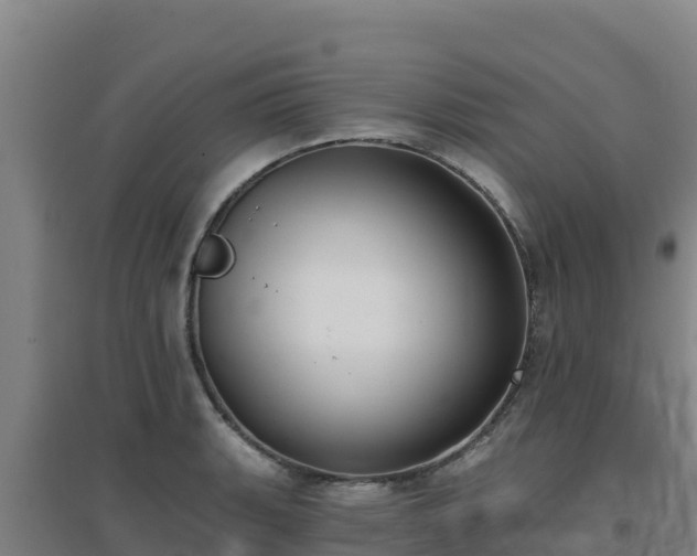 X0000096721135200802121242