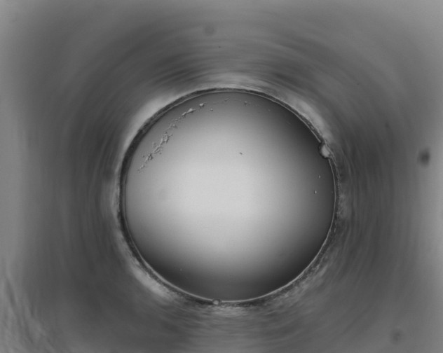 X0000096721136200802121242