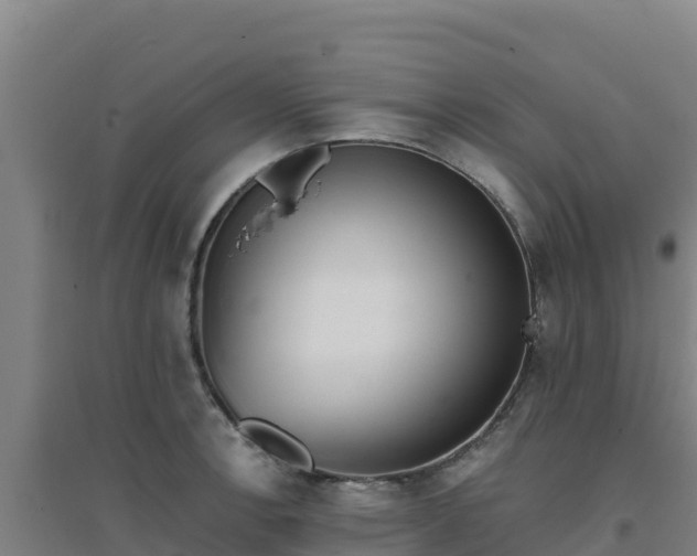 X0000096721138200802121242