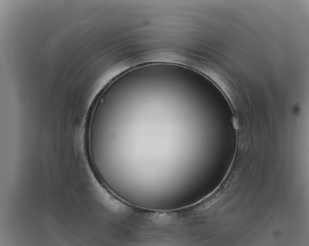 X0000096721139200802121242