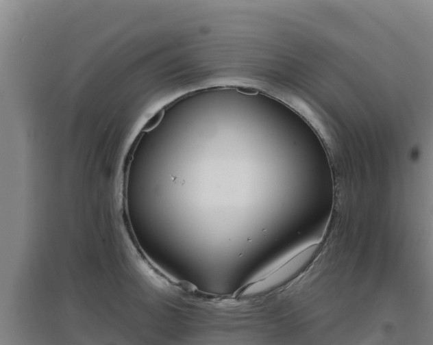 X0000096721140200802121242