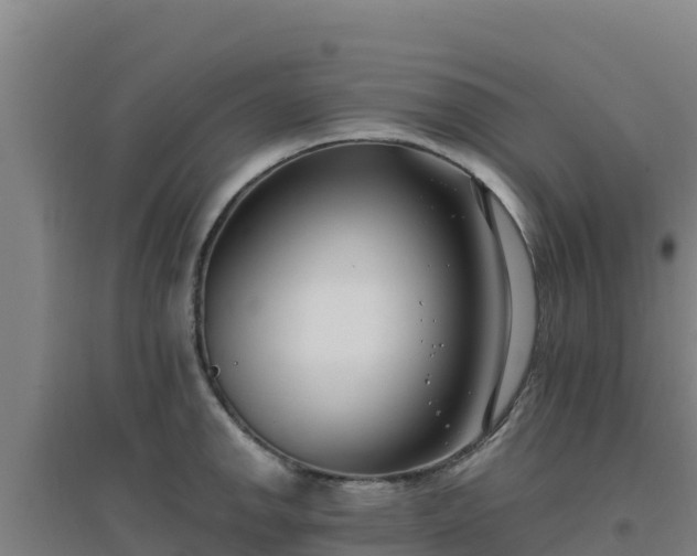 X0000096721142200802121242