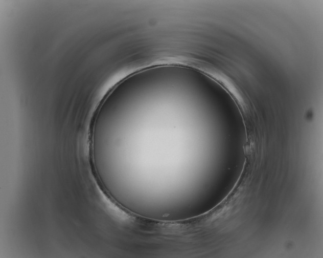 X0000096721143200802121242