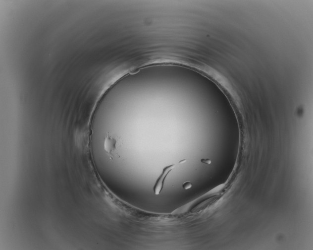 X0000096721145200802121242