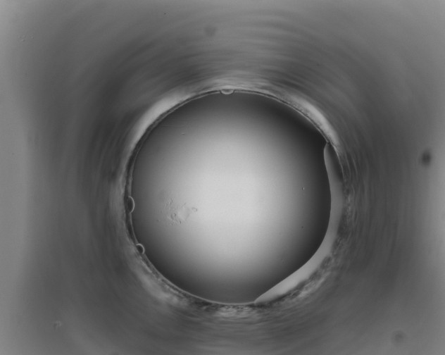 X0000096721146200802121242