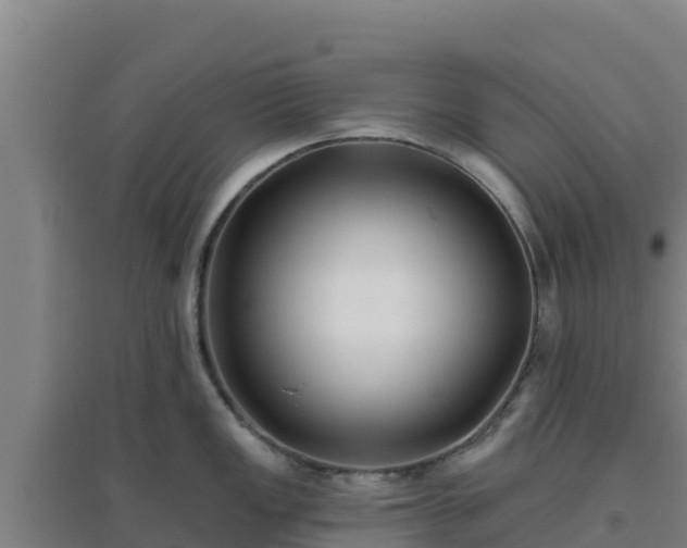 X0000096721149200802121242