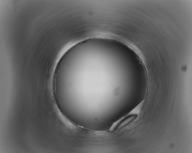 X0000096721152200802121242