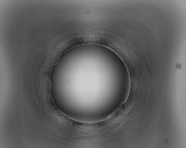 X0000096721153200802121242