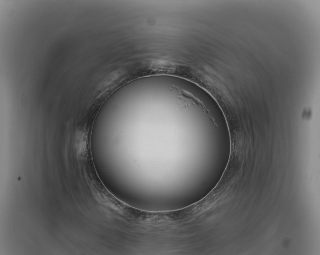 X0000096721154200802121242