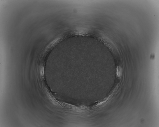 X0000096721155200802121242