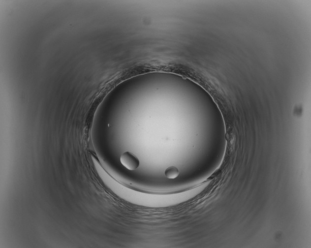 X0000096721156200802121242