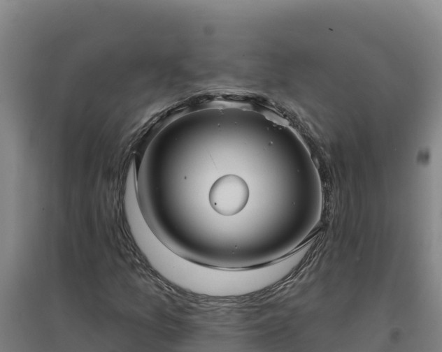 X0000096721157200802121242