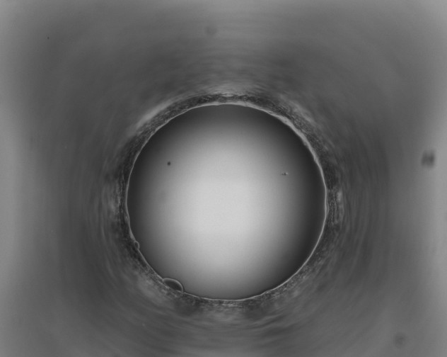 X0000096721158200802121242