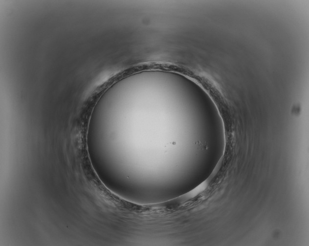 X0000096721159200802121242