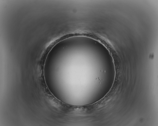 X0000096721160200802121242