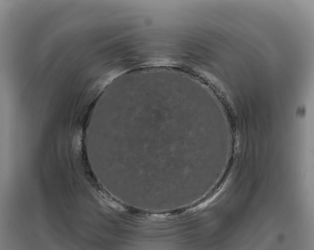 X0000096721161200802121242