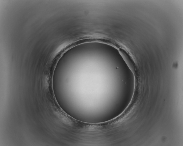 X0000096721163200802121241