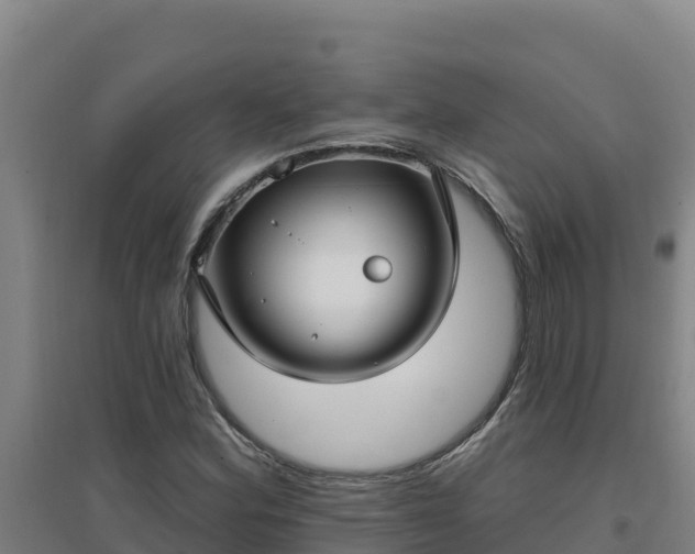 X0000096721164200802121241