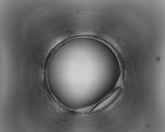 X0000096721165200802121241