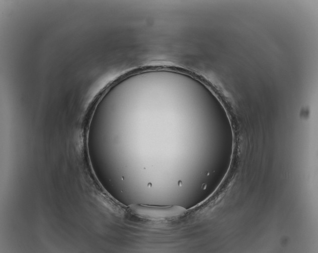 X0000096721167200802121241