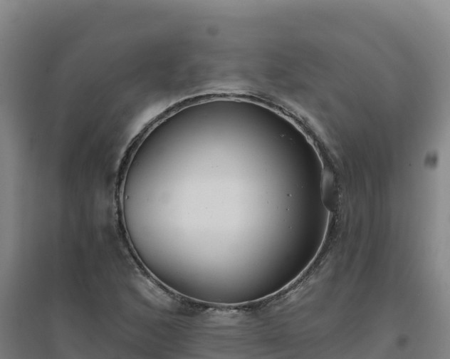 X0000096721168200802121241