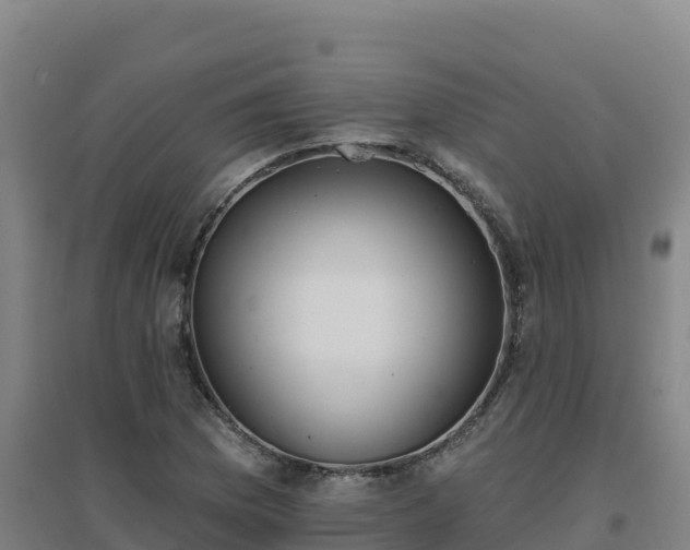 X0000096721169200802121241