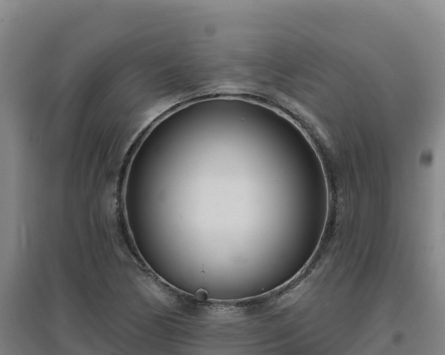 X0000096721170200802121241
