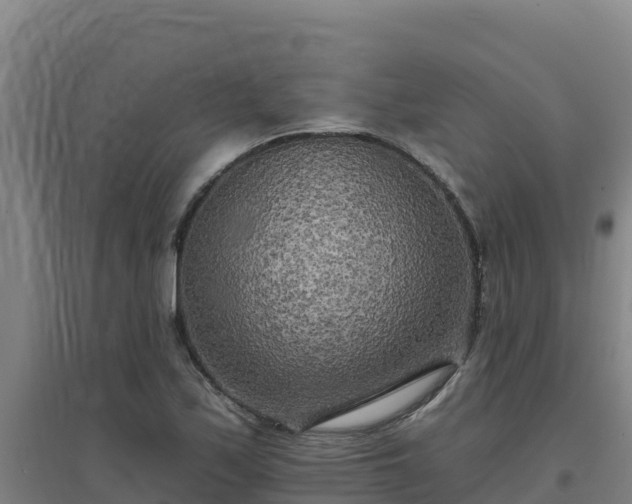 X0000096721171200802121241