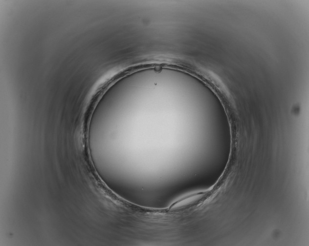 X0000096721172200802121241