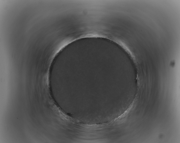 X0000096721173200802121241