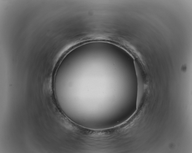 X0000096721174200802121241