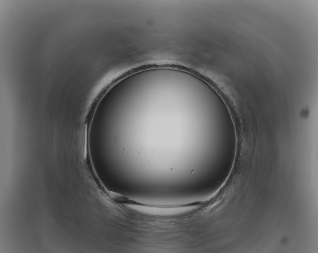 X0000096721175200802121241