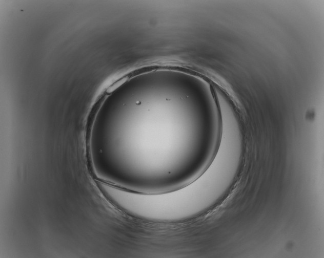 X0000096721176200802121241