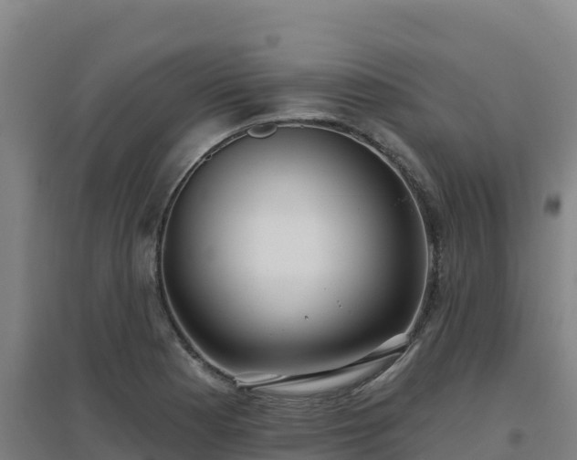 X0000096721177200802121241
