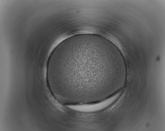X0000096721179200802121241