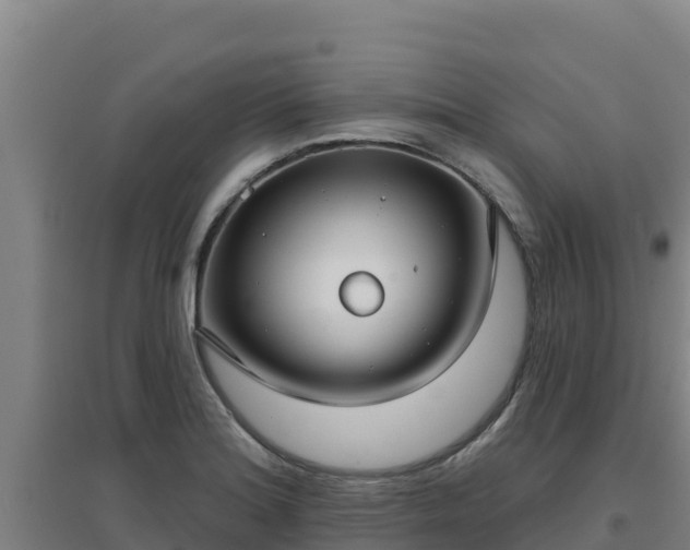 X0000096721180200802121241