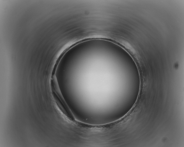 X0000096721181200802121241