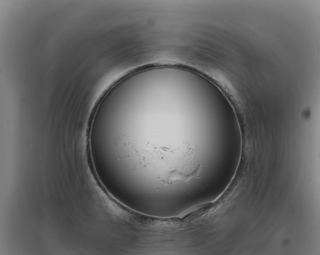 X0000096721183200802121241