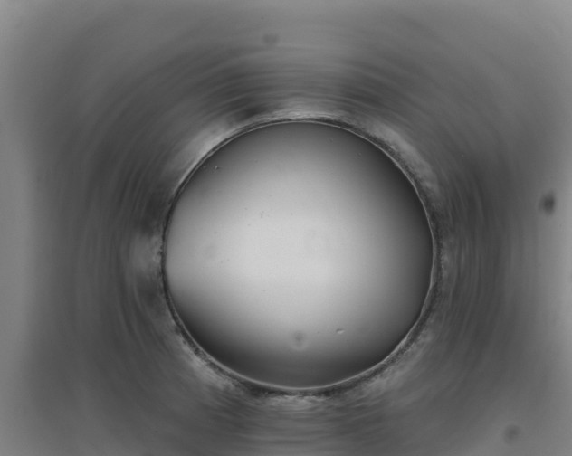 X0000096721185200802121241