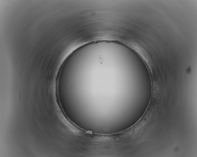 X0000096721187200802121241