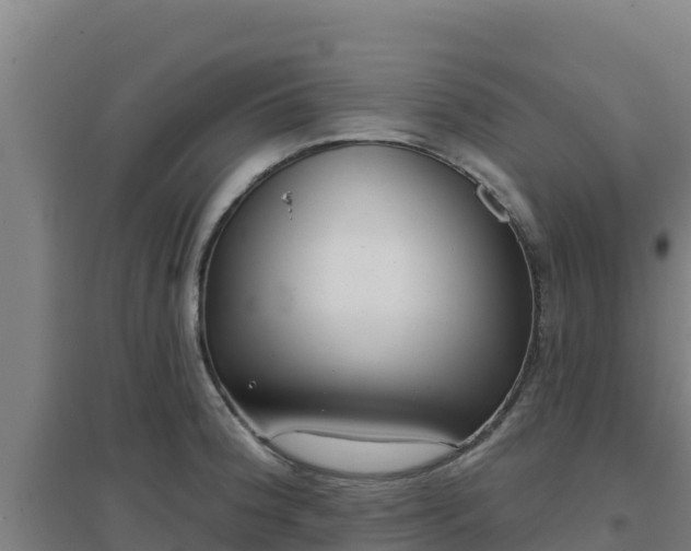 X0000096721188200802121241