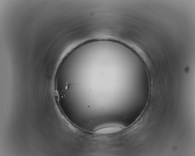 X0000096721191200802121241
