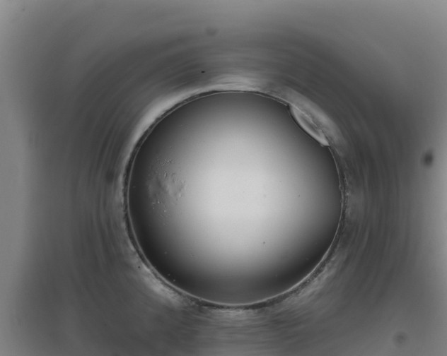 X0000096721192200802121241