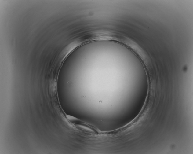 X0000096721193200802121241