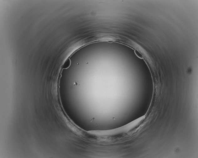 X0000096721194200802121241