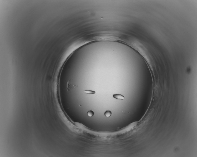 X0000096721195200802121241