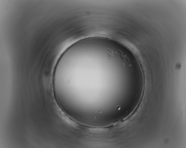 X0000096721200200802121241