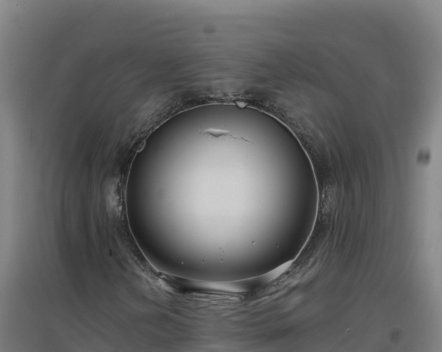 X0000096721202200802121240