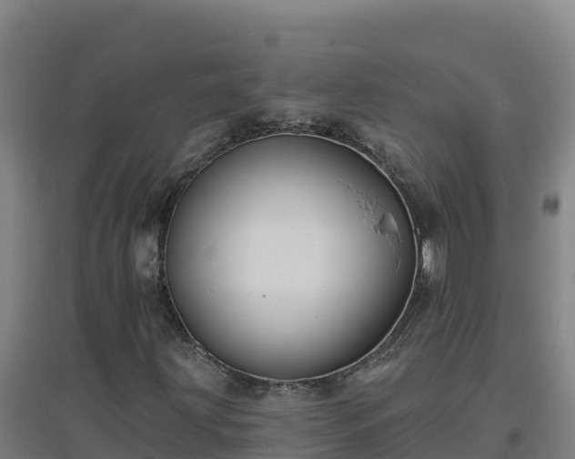 X0000096721203200802121240