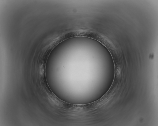 X0000096721204200802121240